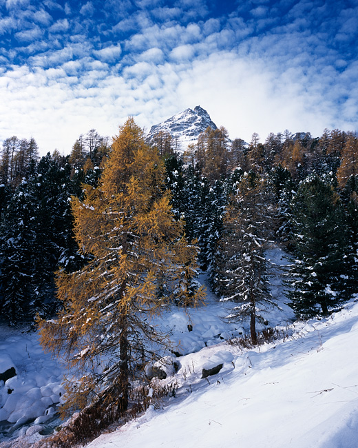 Piz Albana